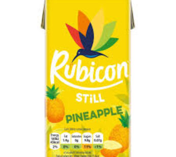 Brique de jus Rubicon ananas 1L